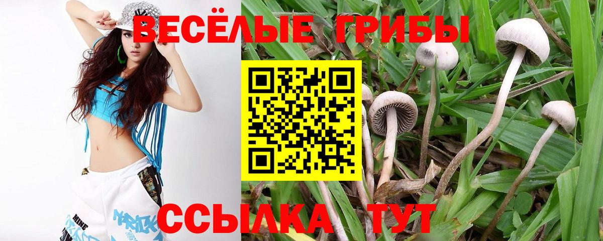 Псилоцибиновые грибы мухоморы Красный Сулин